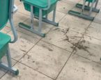 Escola de Feira de Santana suspende aula por falta de material de limpeza