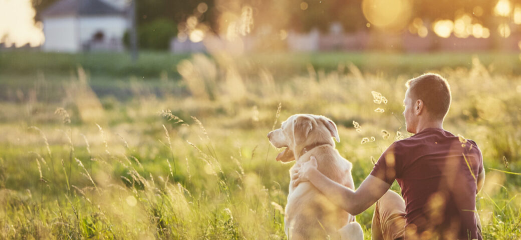 It is a long established fact that a reader will be distracted by the.