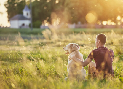 It is a long established fact that a reader will be distracted by the.